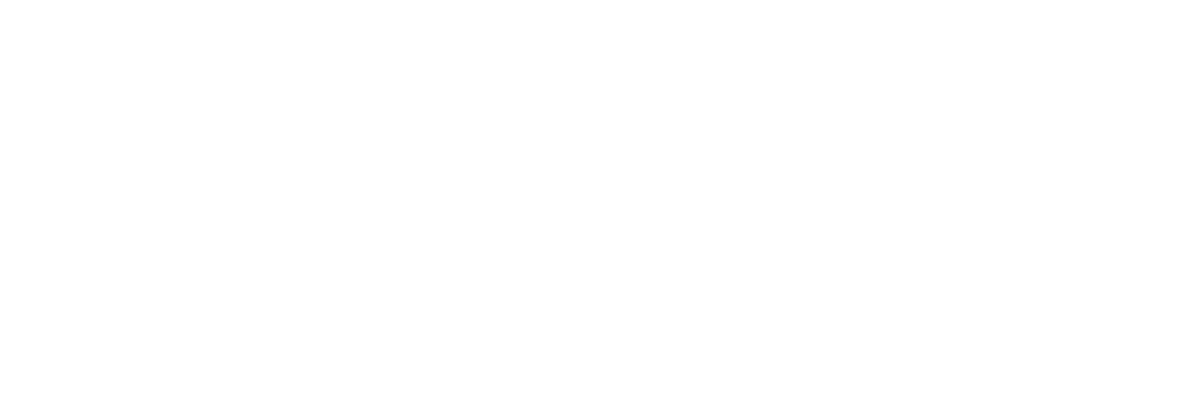Delta Holding logo